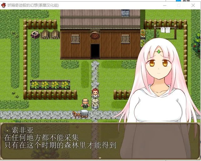 妖精奇迹般的幻想 游戏截图 2
