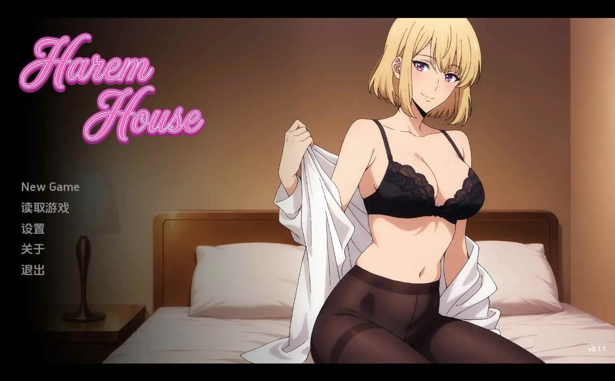 后宫之家 Harem House 游戏封面